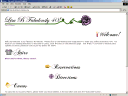 Fabulous 40 Birthday Party Website!